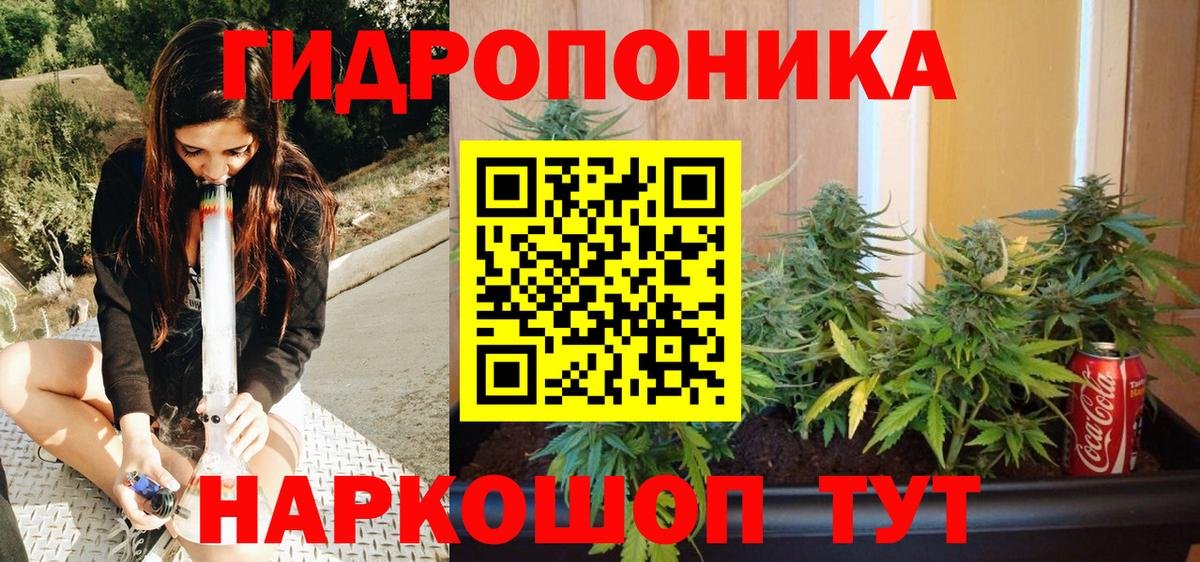 Бошки марихуана AK-47  Конопля индика  Томск  Канабис конопля  Вход с VPN  Шишки марихуана конопля 